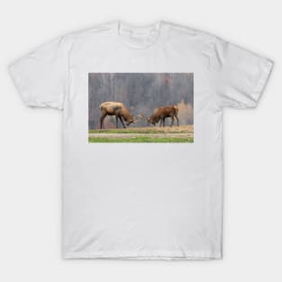 Elk in a fight T-Shirt